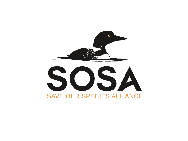 Logo Design by Dream Logo Design for this project | Design #34323183