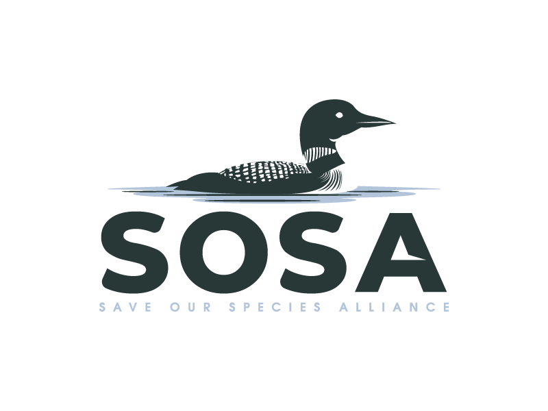 Logo Design by Dream Logo Design for this project | Design #34323184