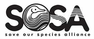 Logo Design by Den Bagus