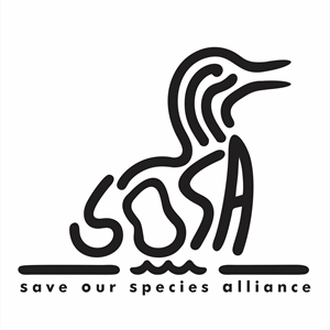 Logo Design by Den Bagus for this project | Design: #34326390