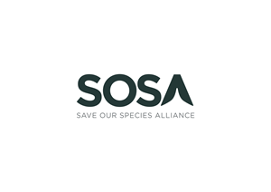 Logo Design by The Lion Studios for this project | Design: #34327366