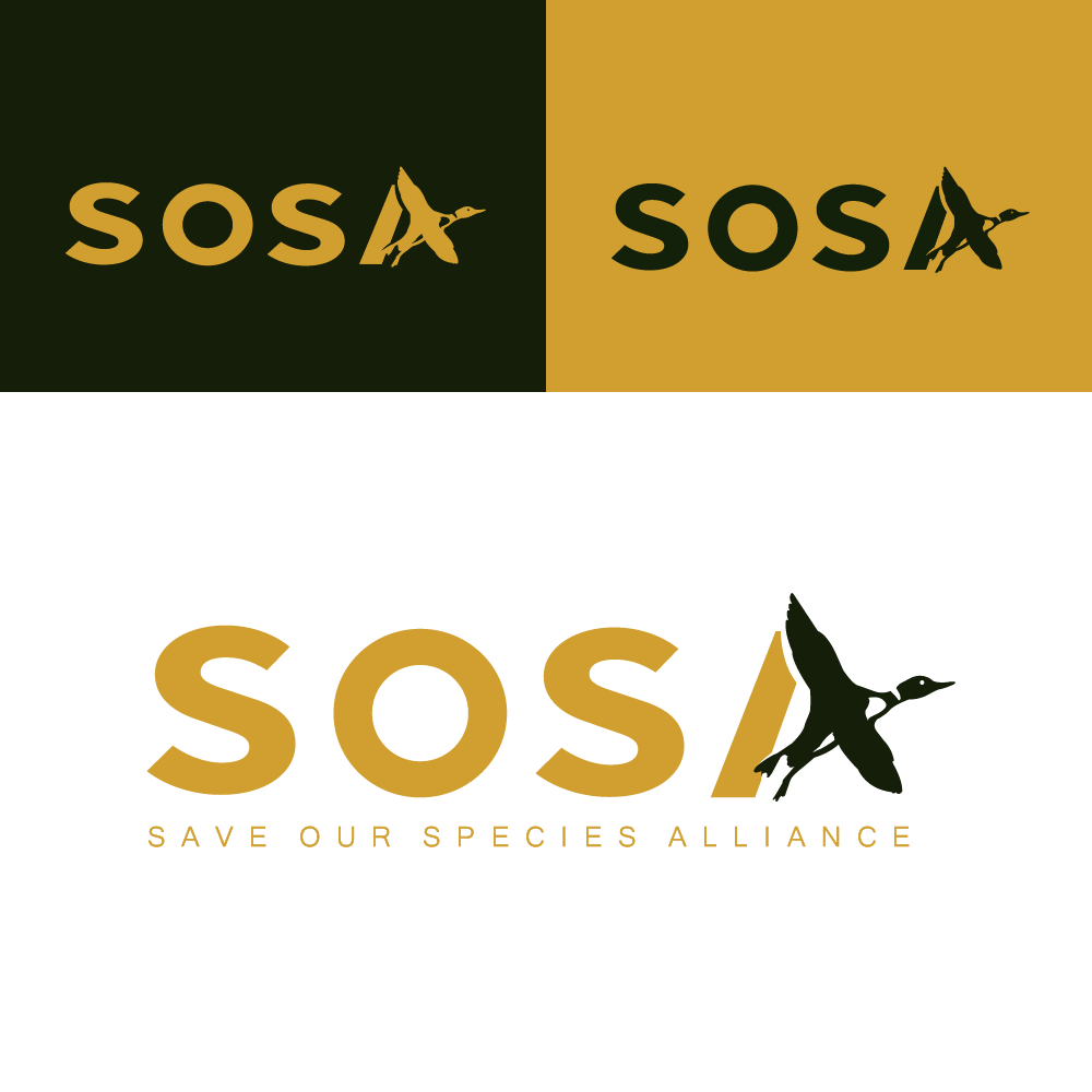 Logo Design by eva8jr for this project | Design #34333308