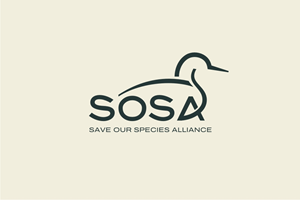 Logo Design by iamrady for this project | Design: #34349003