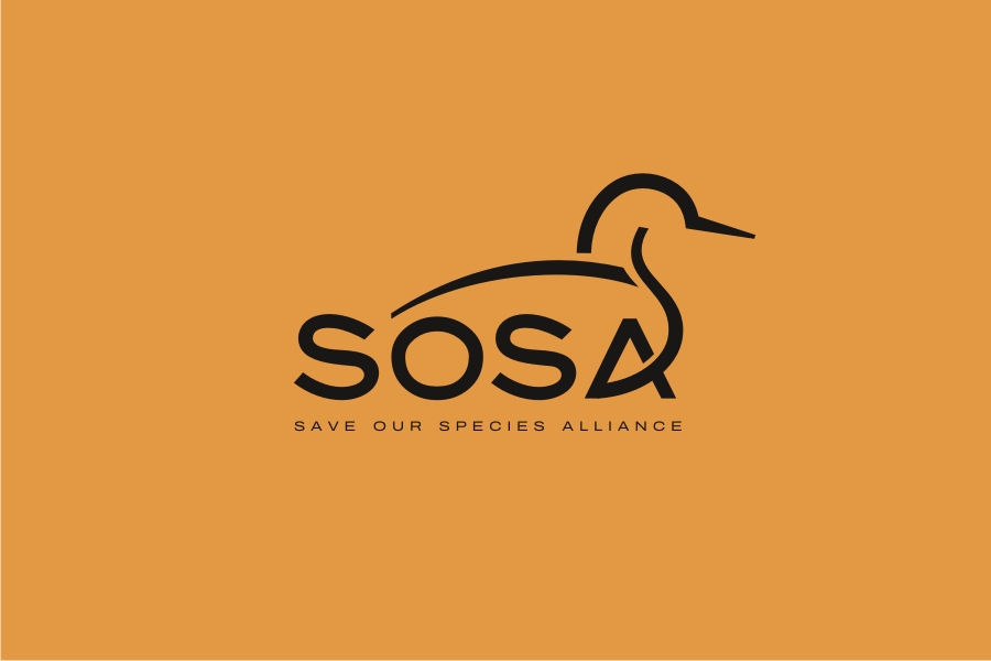 Logo Design by iamrady for this project | Design #34349004