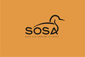 Logo Design by iamrady for this project | Design: #34349004