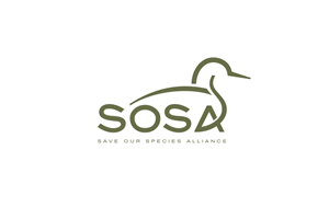 Logo Design by iamrady for this project | Design: #34349006
