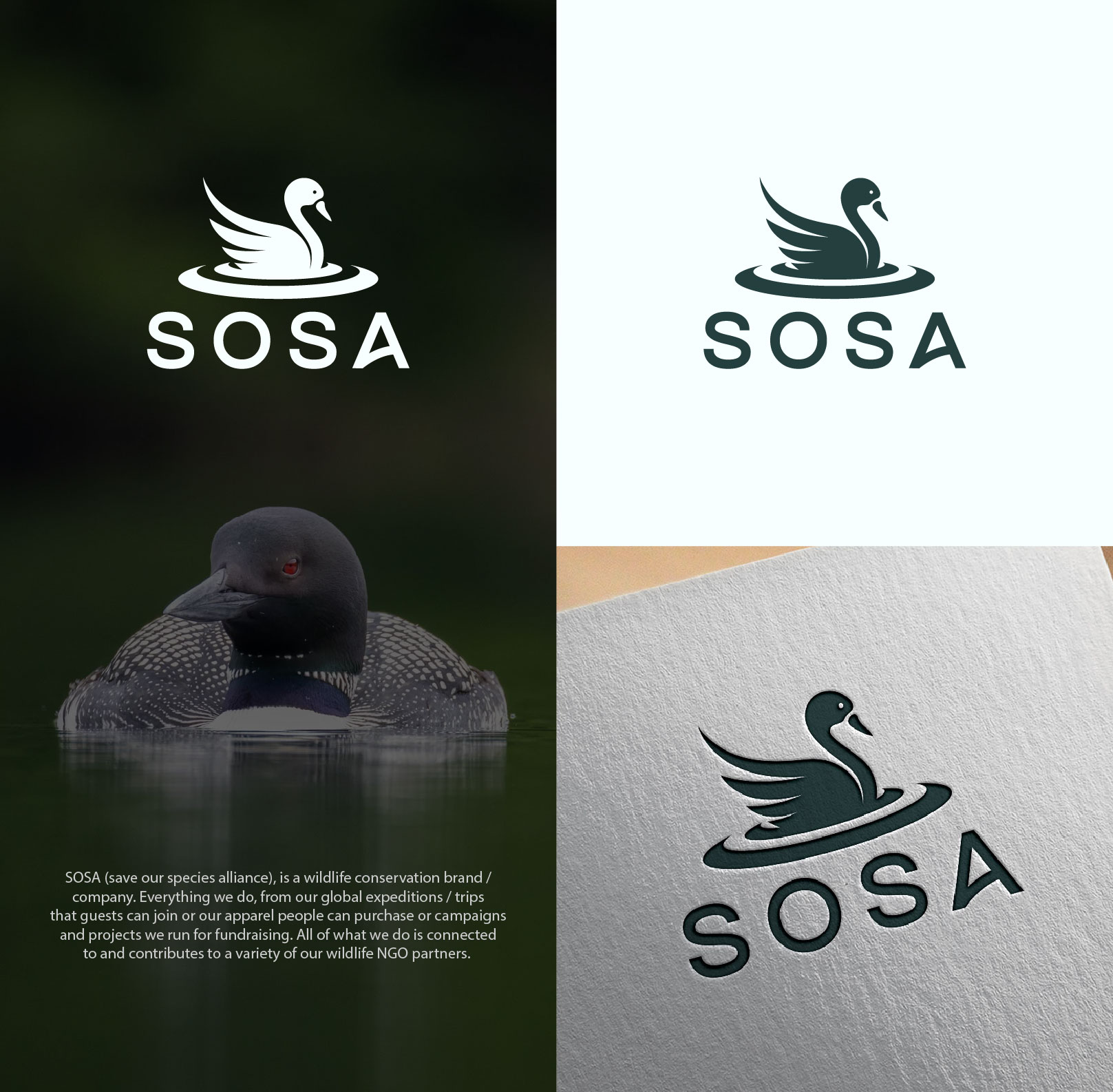 Logo Design by 4tech services for this project | Design #34321942