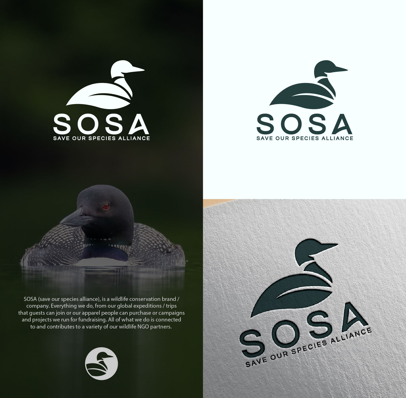Logo Design by 4tech services for this project | Design #34417540
