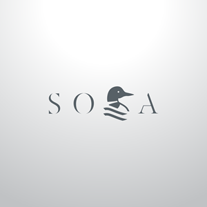 Logo Design by Jiansù