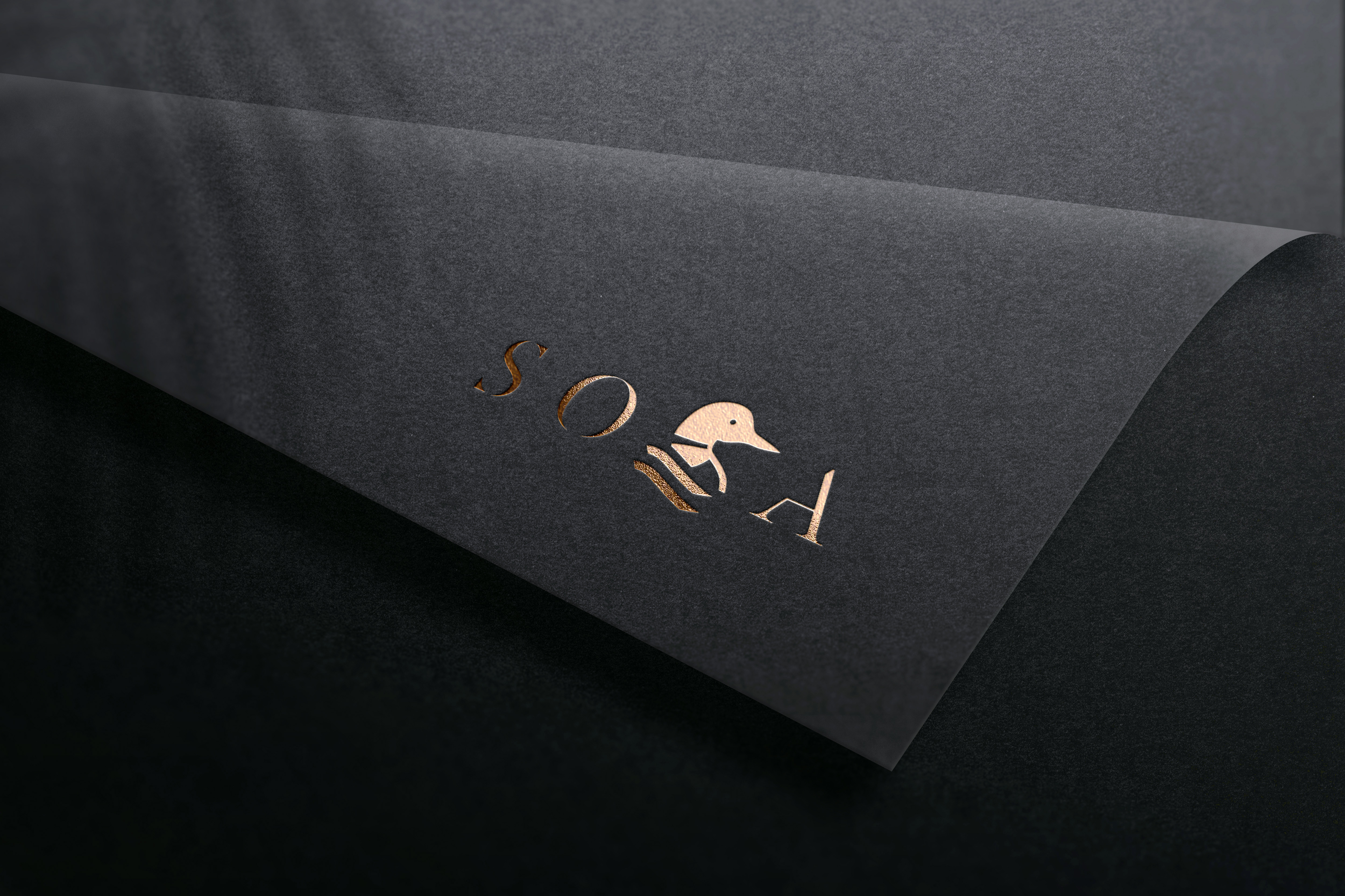 Logo-Design von Jiansù für dieses Projekt | Design #34337294