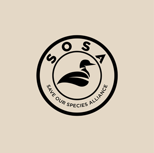 Logo Design by ares_h1 for this project | Design: #34334745