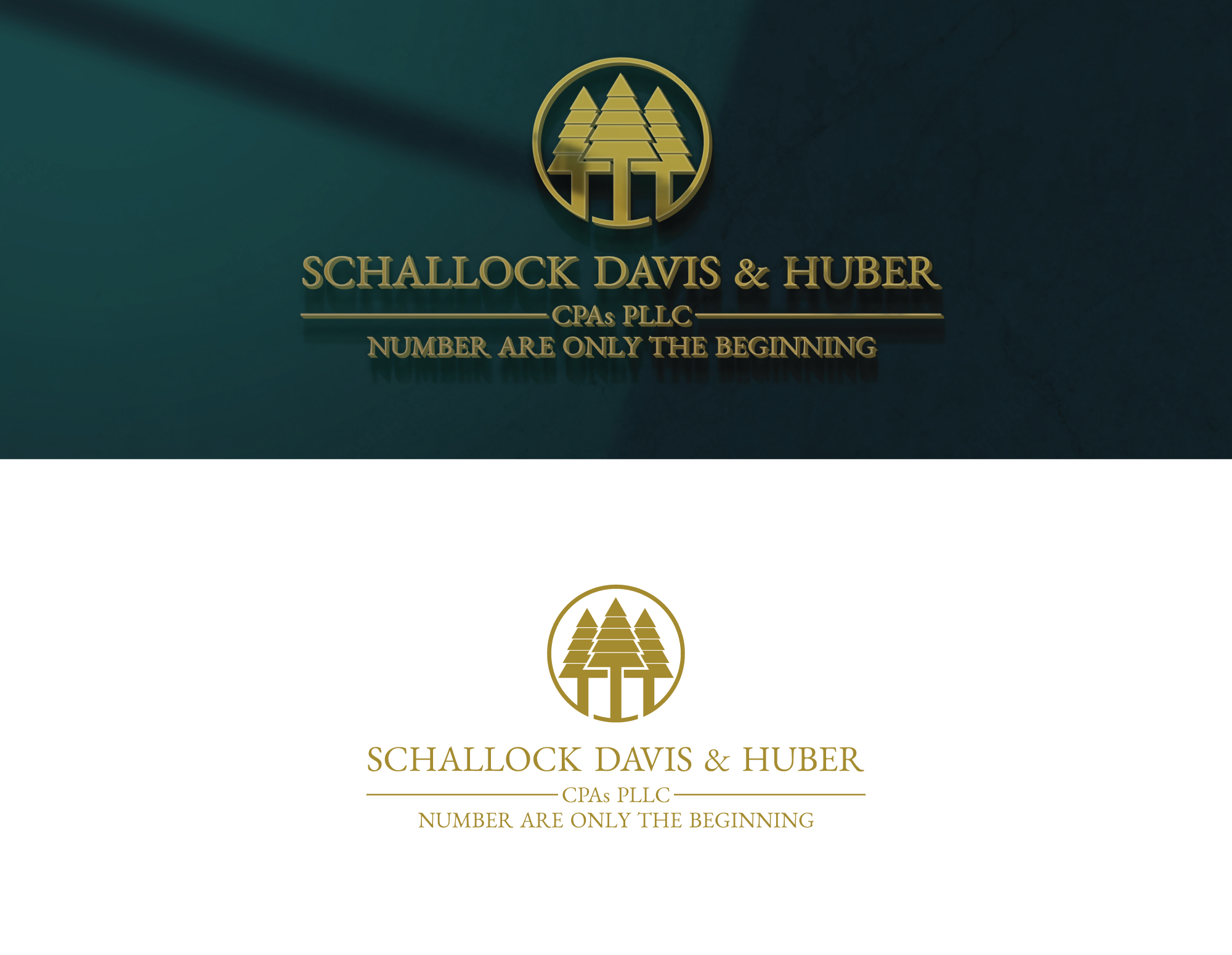 Logo Design by sisirislam55 for this project | Design #34341551