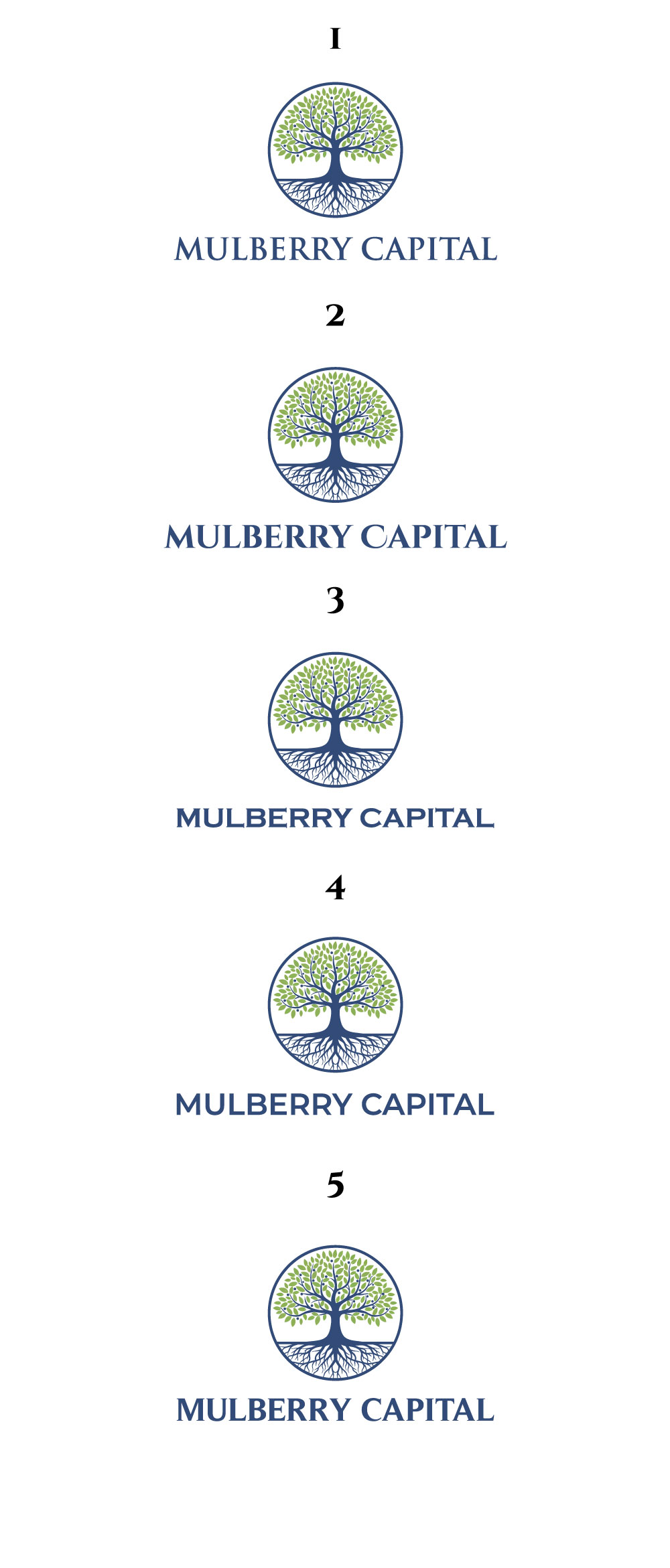 Logo Design by DesignVerse777 for Mulberry Capital  | Design #34360107