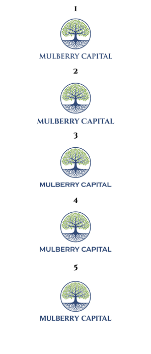 Logo Design by Christopher C for Mulberry Capital  | Design: #34360107