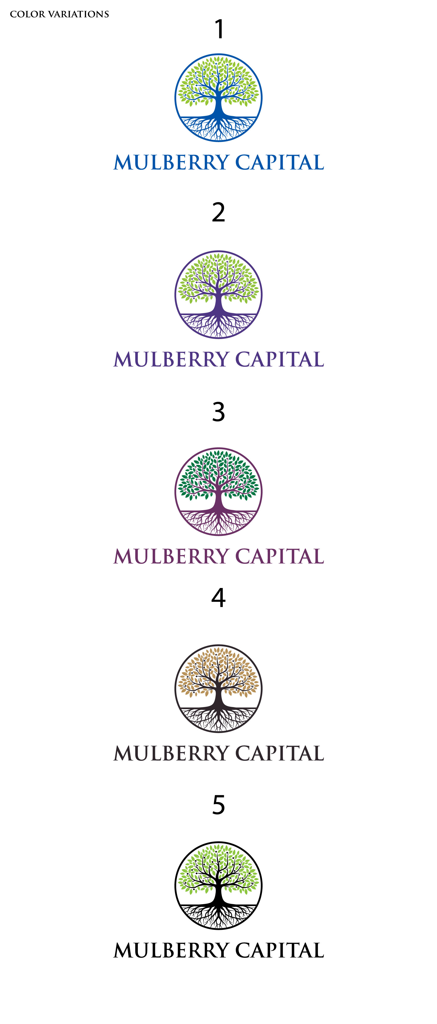 Diseño de Logo por Christopher C para Mulberry Capital | Diseño #34360872