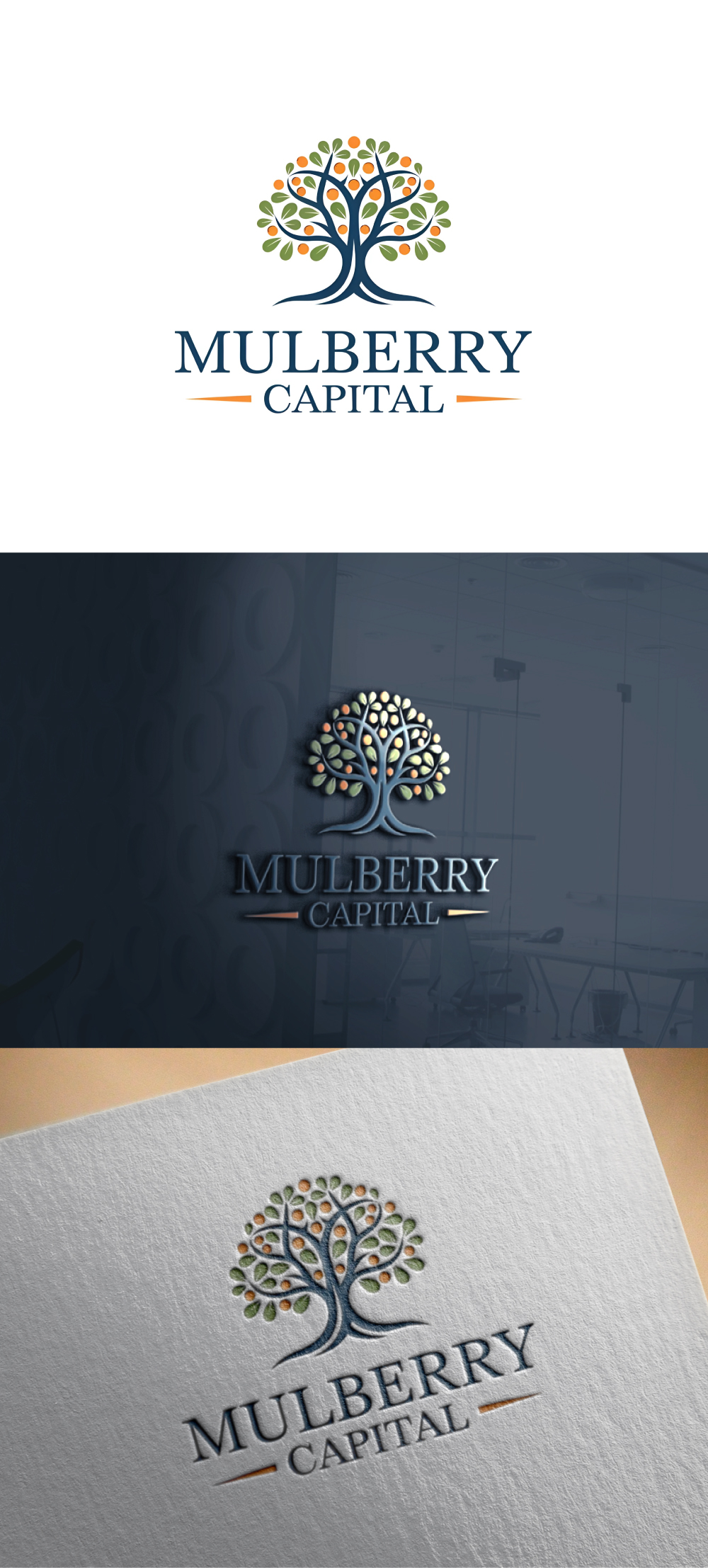 Logo Design by DesignPack for Mulberry Capital  | Design #34333345