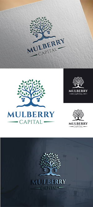 Logo Design by DesignPack for Mulberry Capital  | Design: #34333350