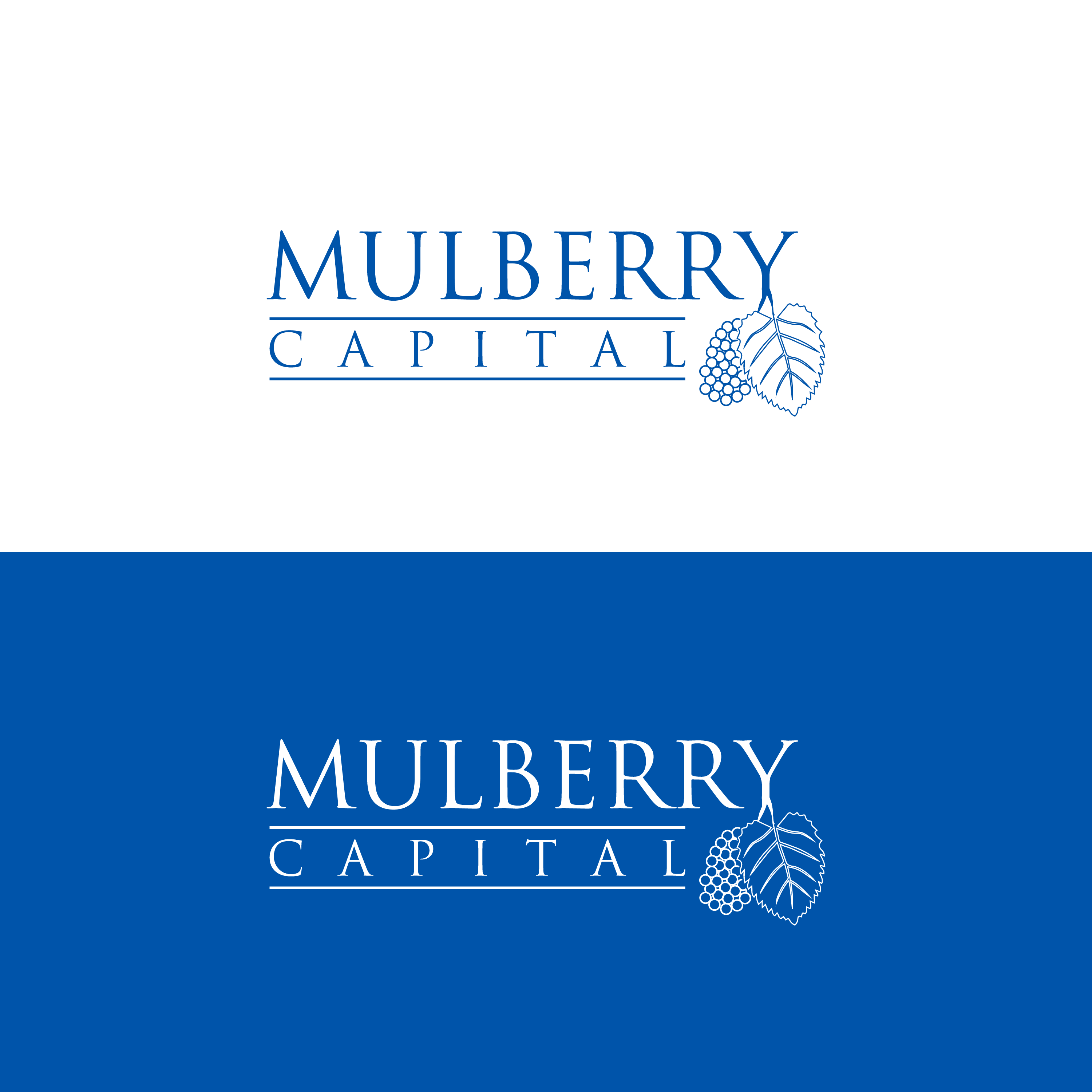 Logo Design by M Art & Design for Mulberry Capital  | Design #34326915