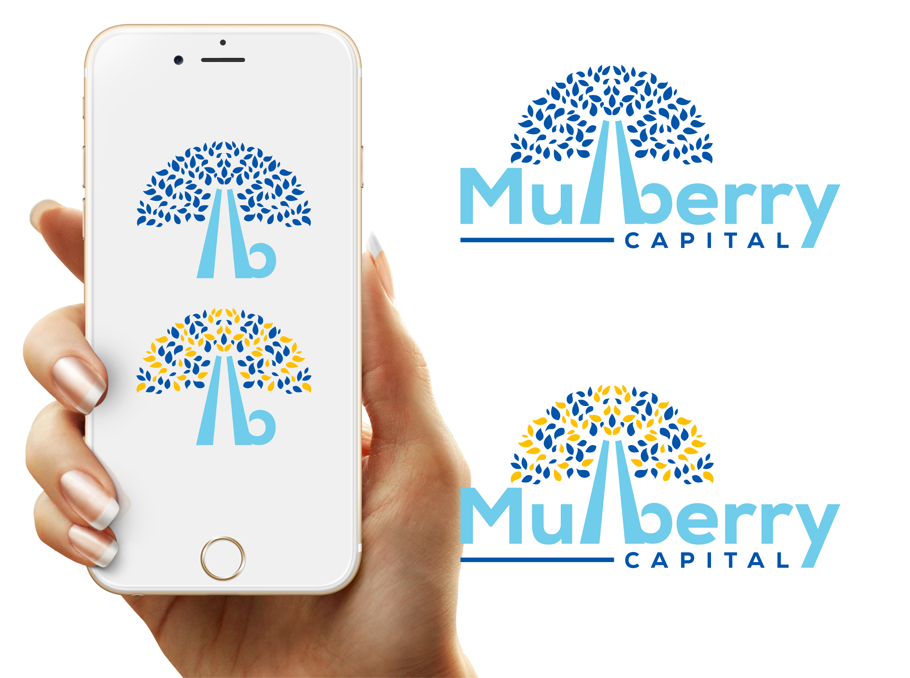Logo Design by healer1617 for Mulberry Capital  | Design #34329198