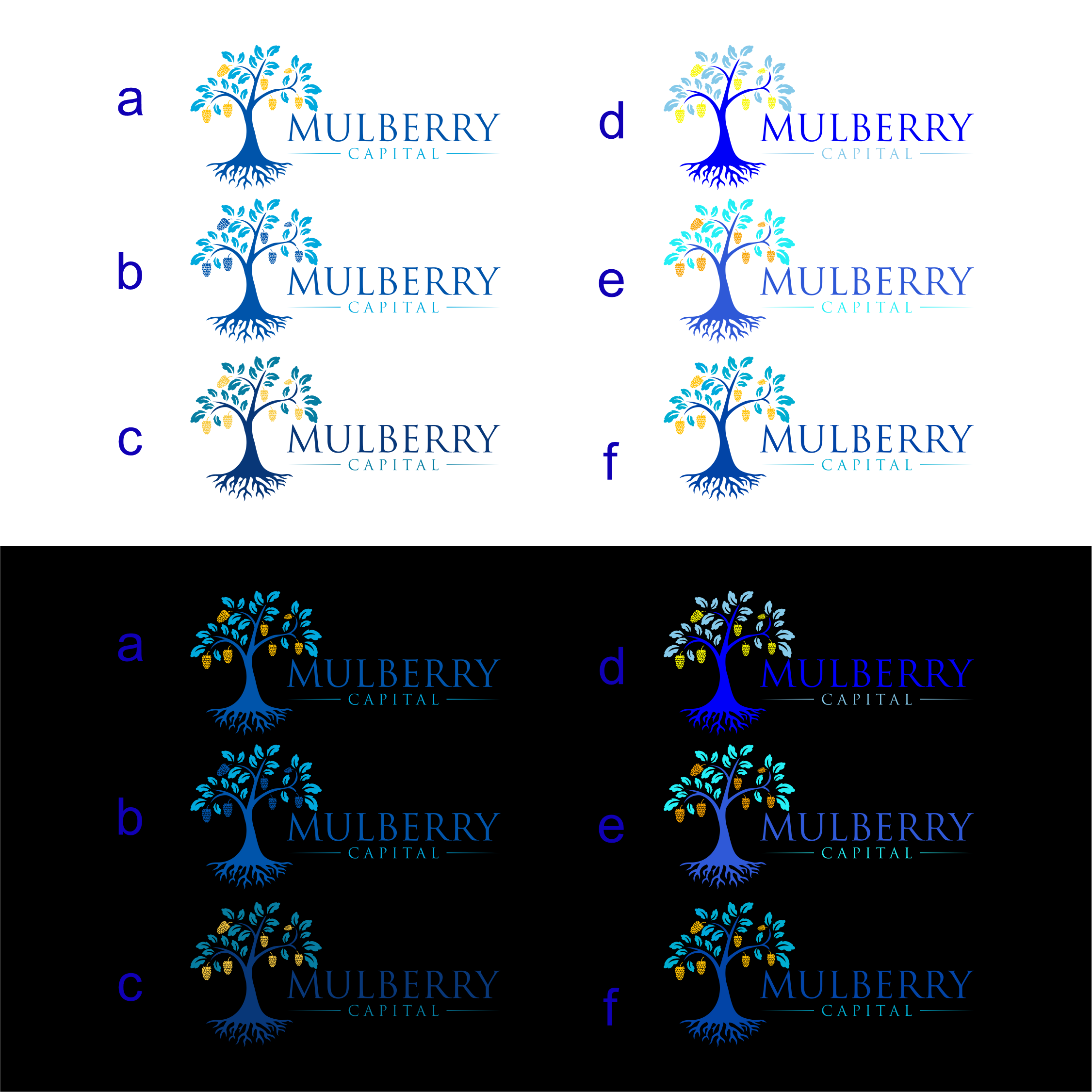 Logo Design by diego costa for Mulberry Capital  | Design #34329478