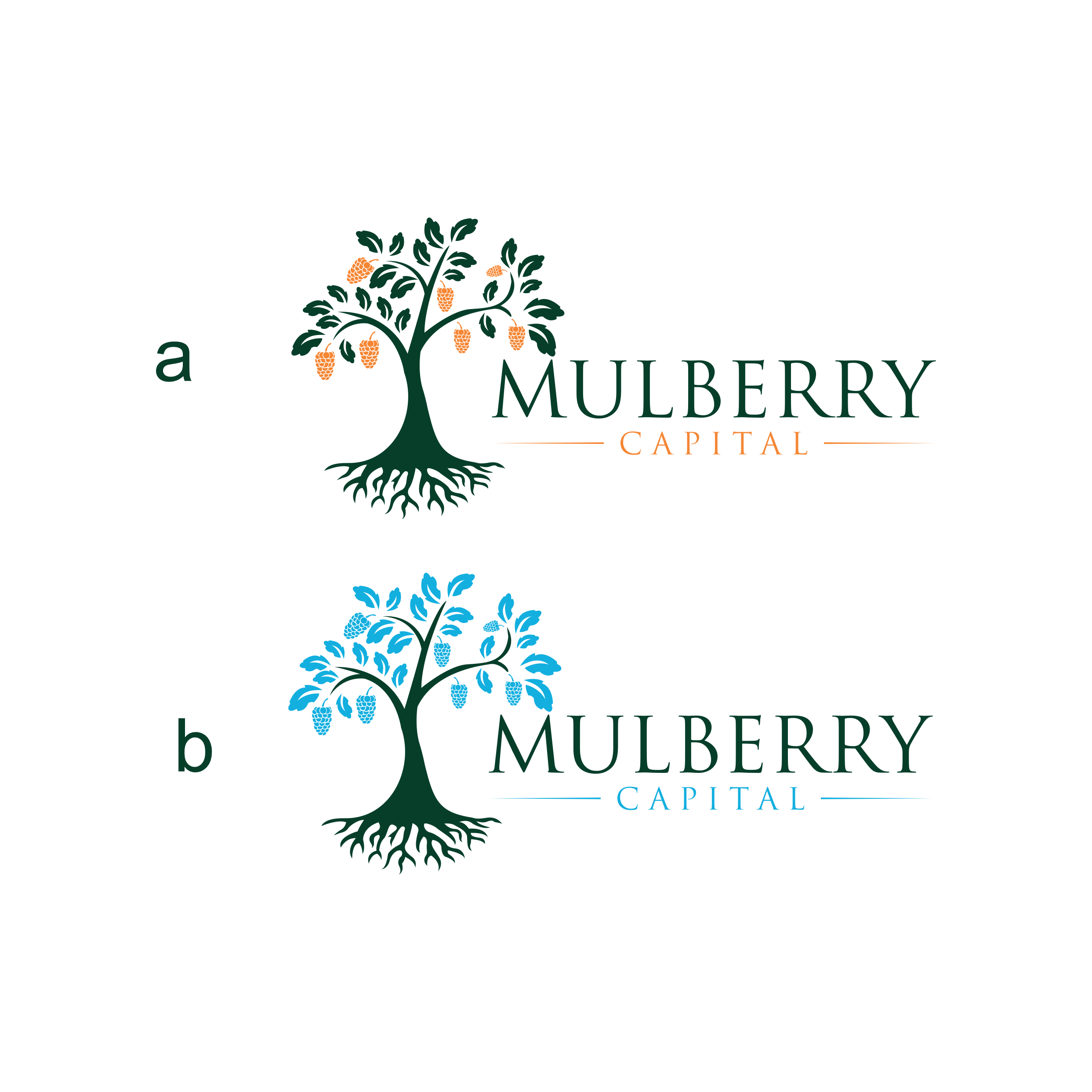 Diseño de Logo por diego costa para Mulberry Capital | Diseño #34329607