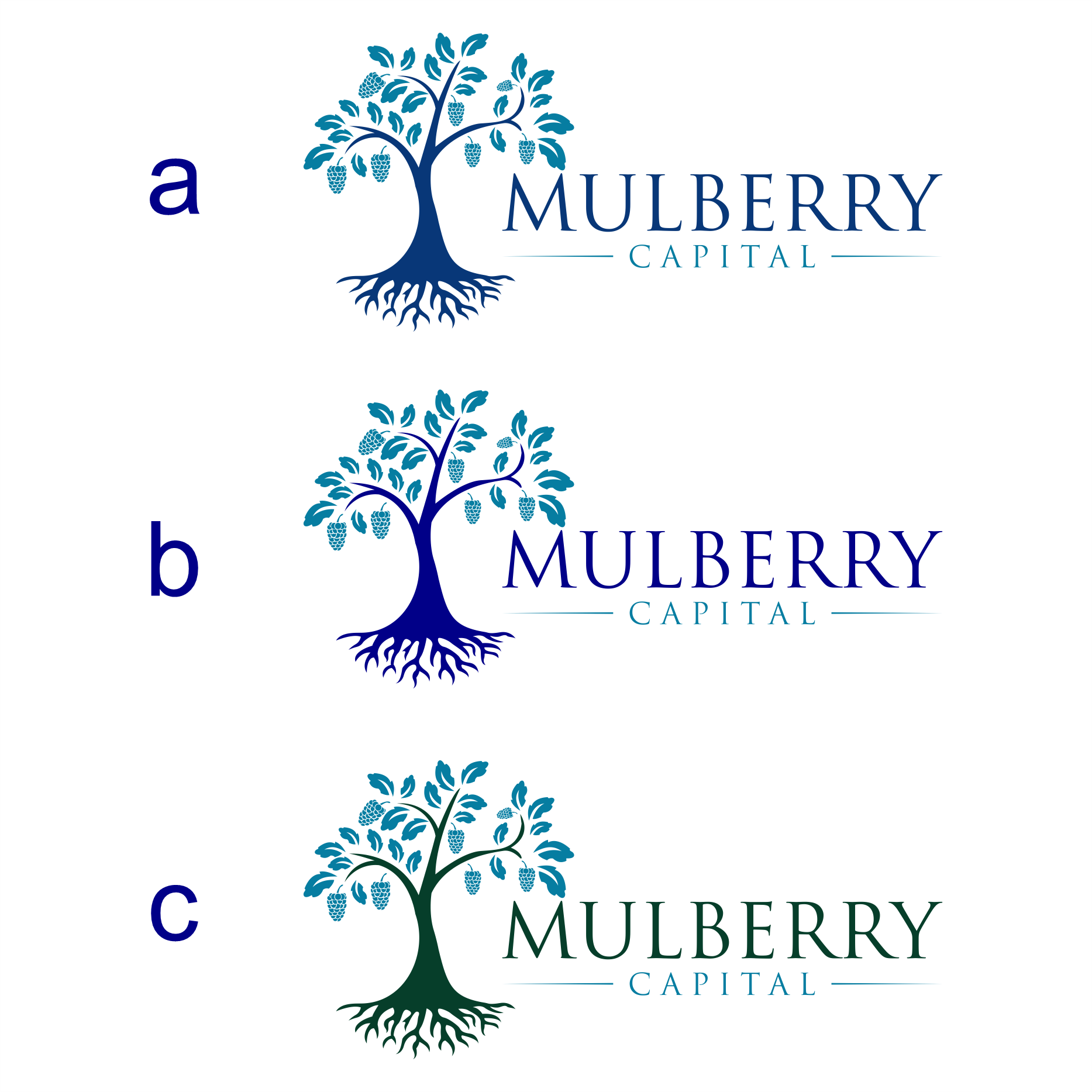 Logo Design by diego costa for Mulberry Capital  | Design #34329878