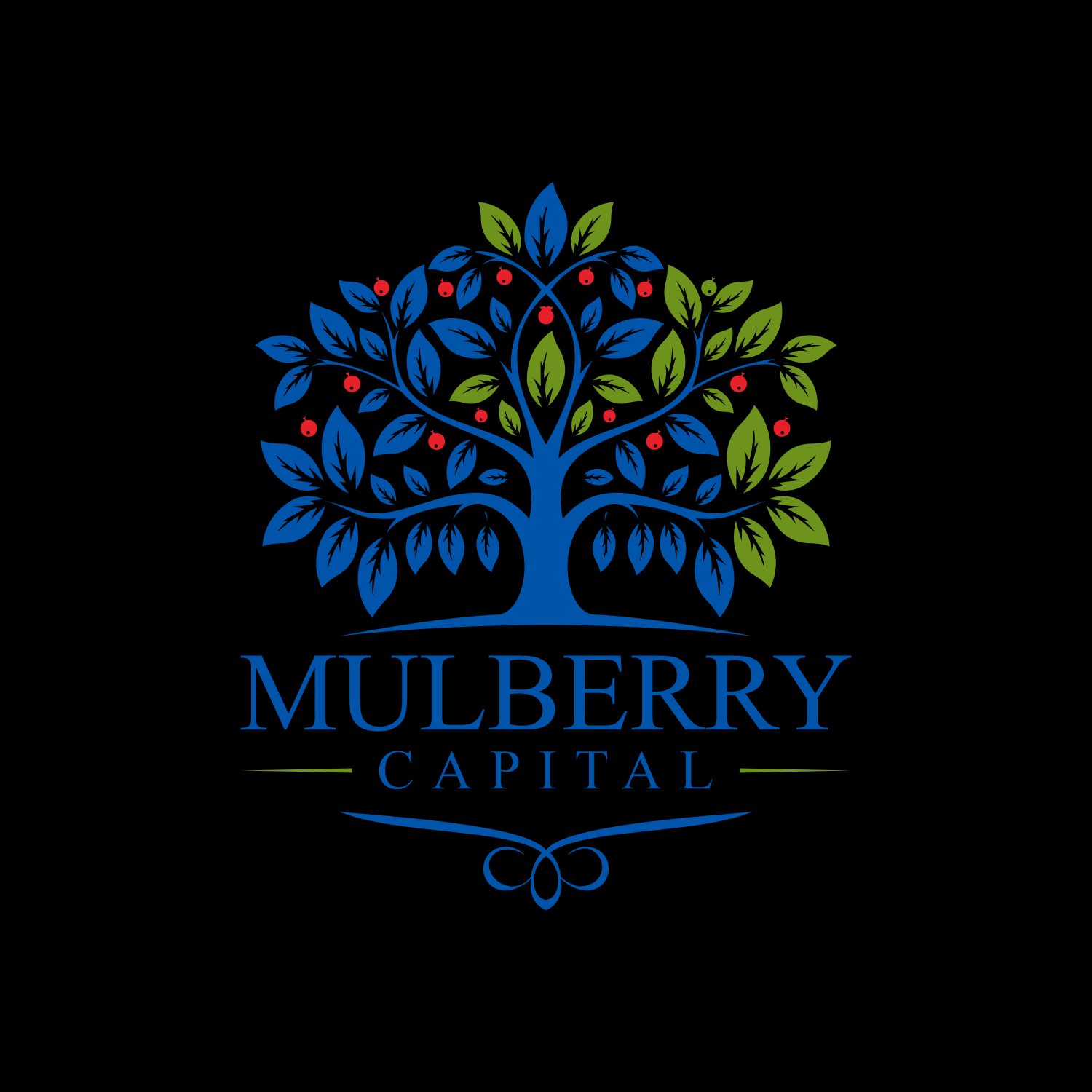 Logo Design by Solikin Design for Mulberry Capital  | Design #34333355