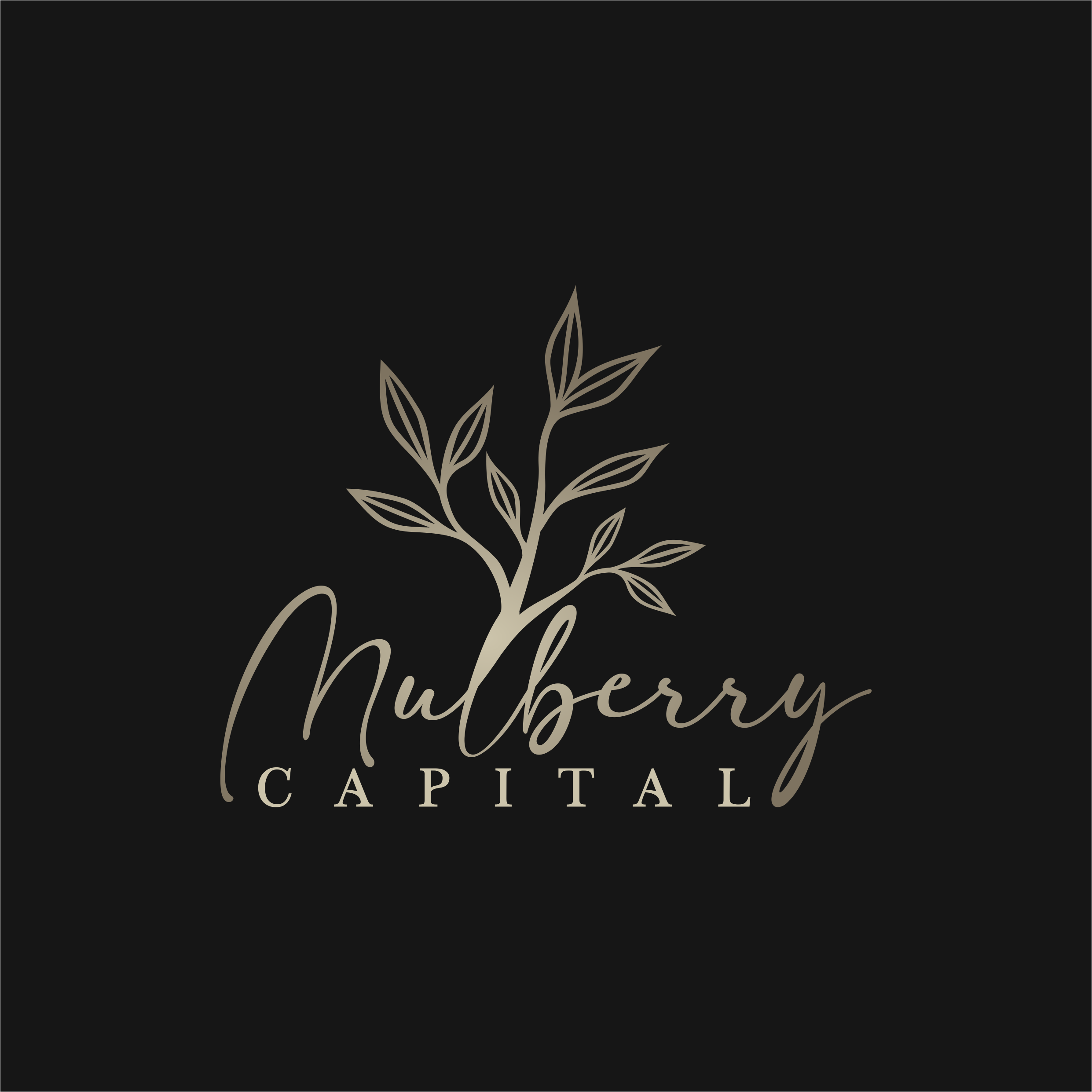 Logo-Design von ghillvan für Mulberry Capital  | Design #34361808