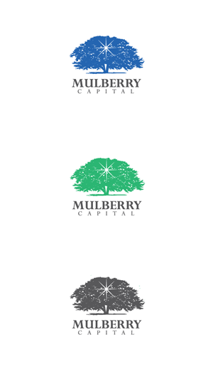 Design de Logo par javed.iqbal pour Mulberry Capital  | Design #34330579