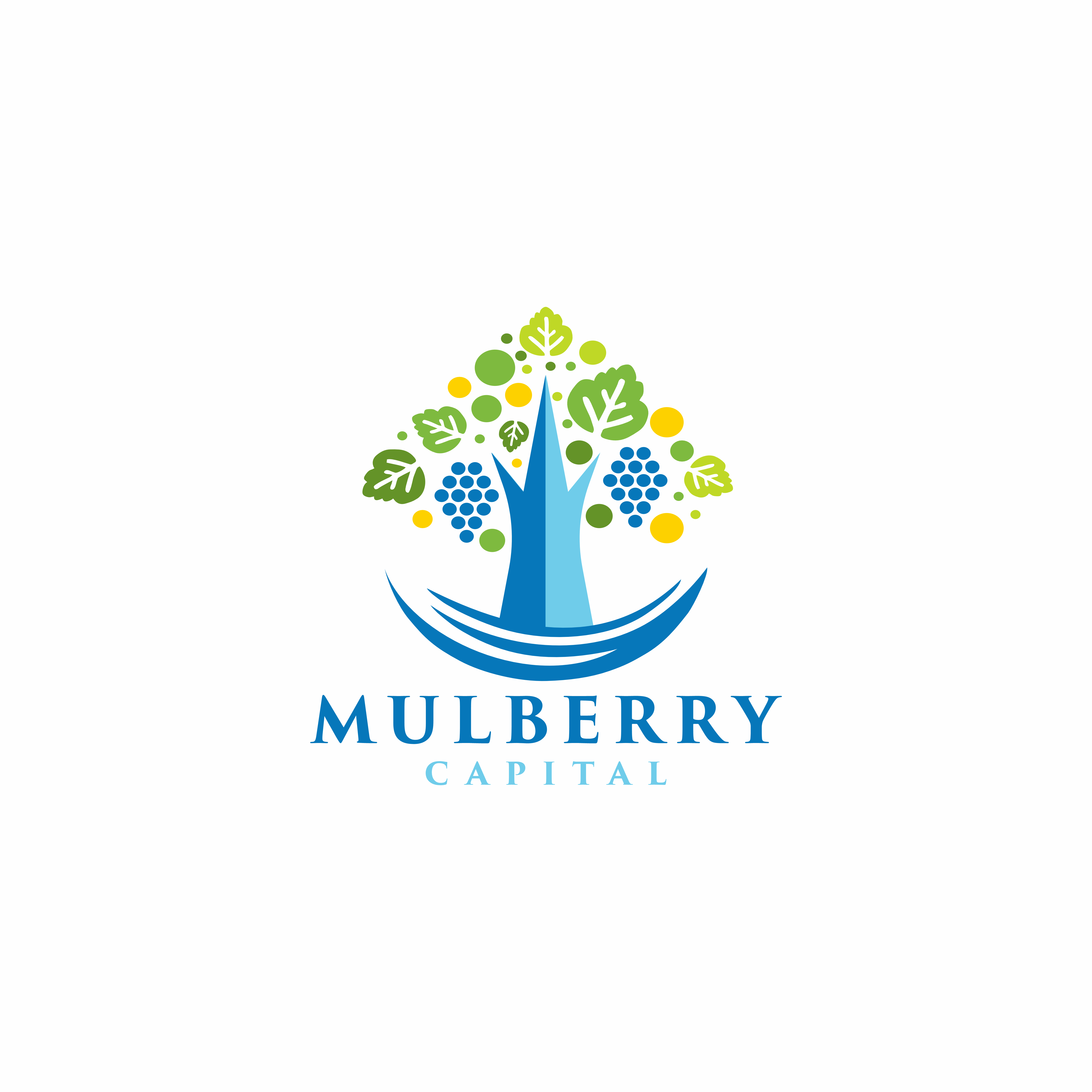Logo Design by Logo Dope for Mulberry Capital  | Design #34325039