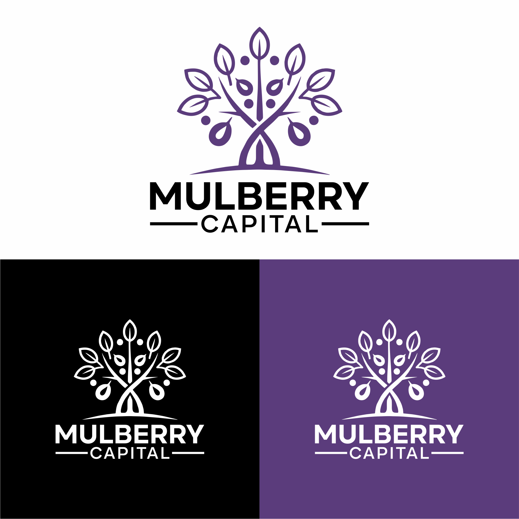 Logo Design by Argidhan for Mulberry Capital  | Design #34326193