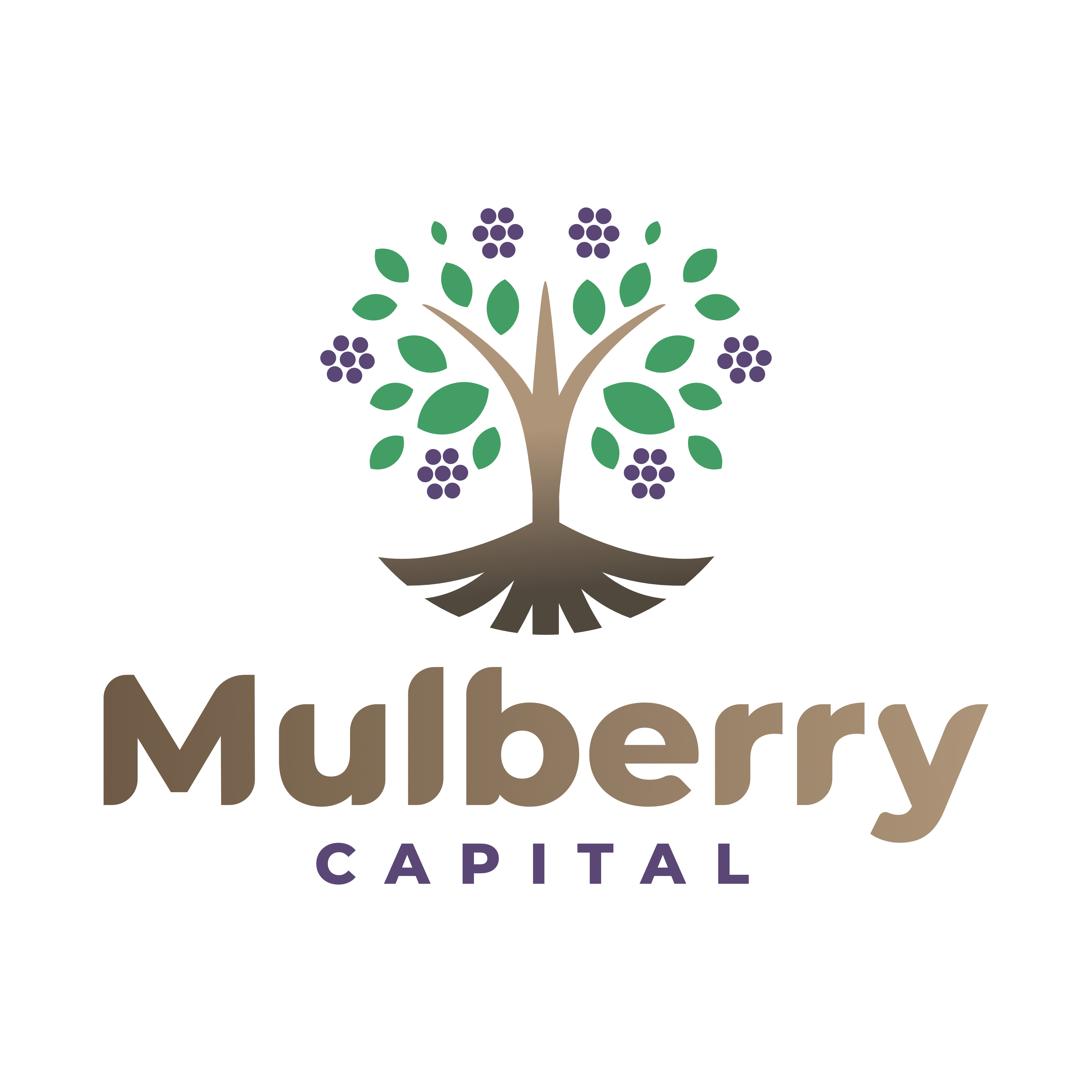 Logo Design by MasMasDesign for Mulberry Capital  | Design #34332251