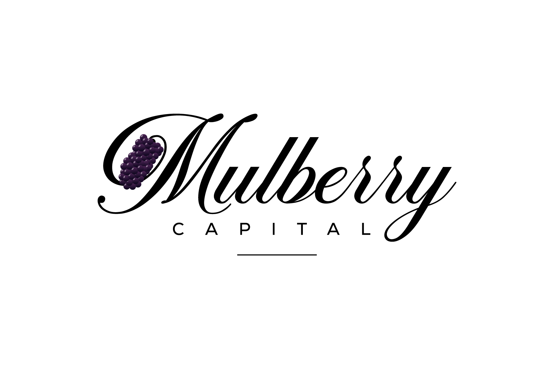 Logo Design by debdesign for Mulberry Capital  | Design #34328000