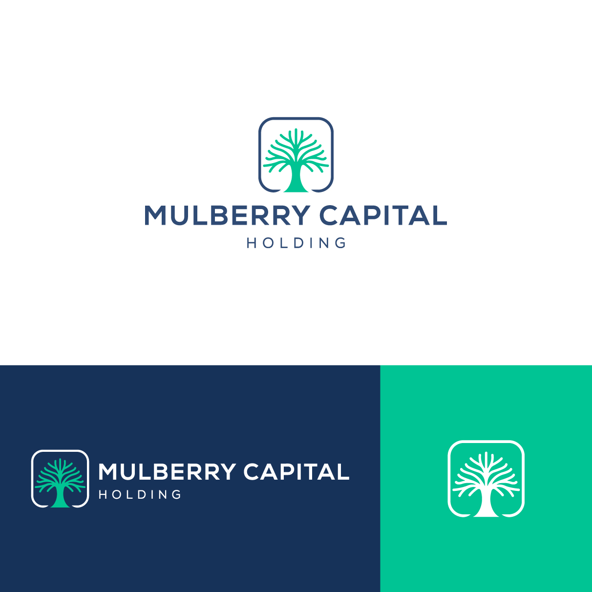 Logo Design by The Lion Studios for Mulberry Capital  | Design #34331012