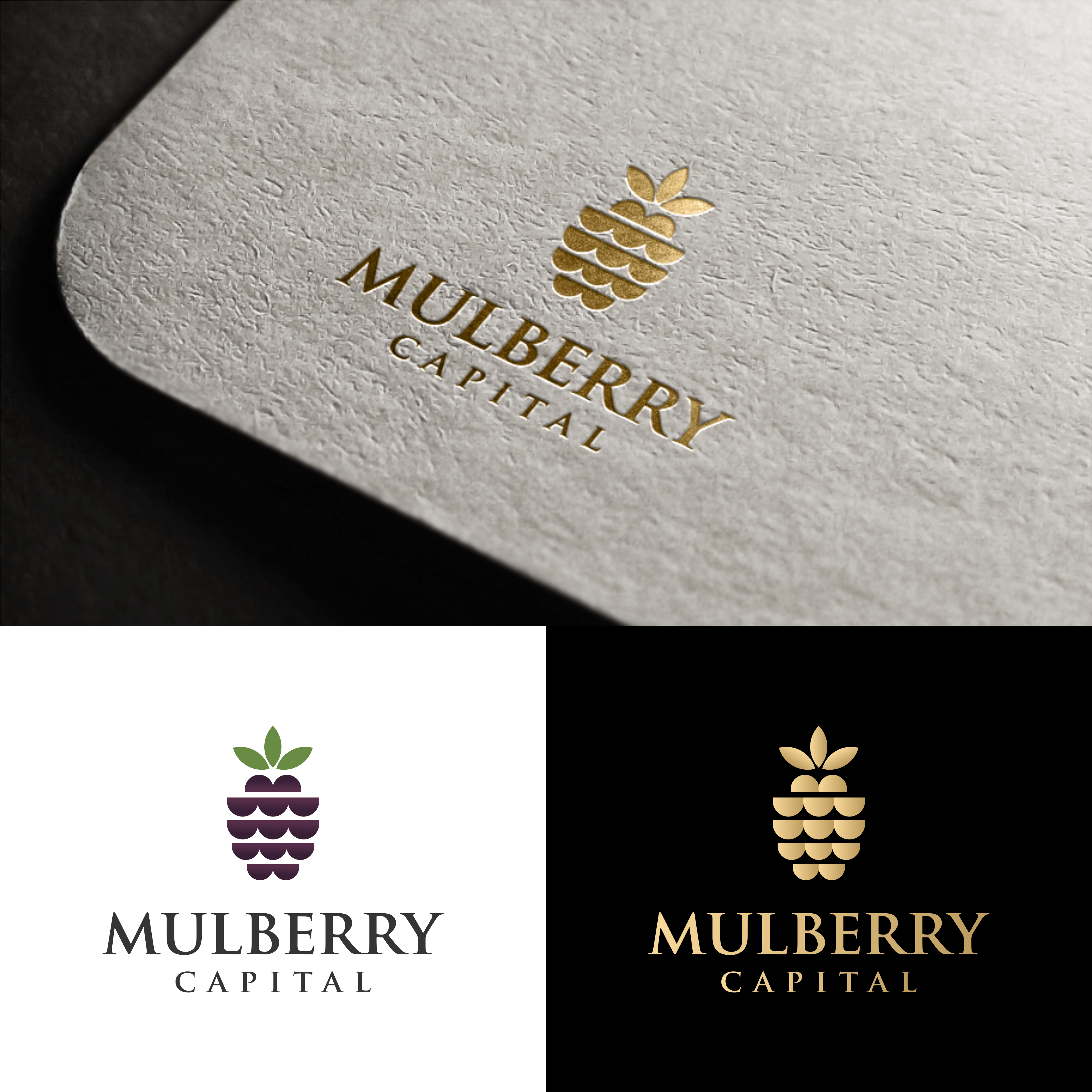 Logo Design by fatiyadesign for Mulberry Capital  | Design #34330597