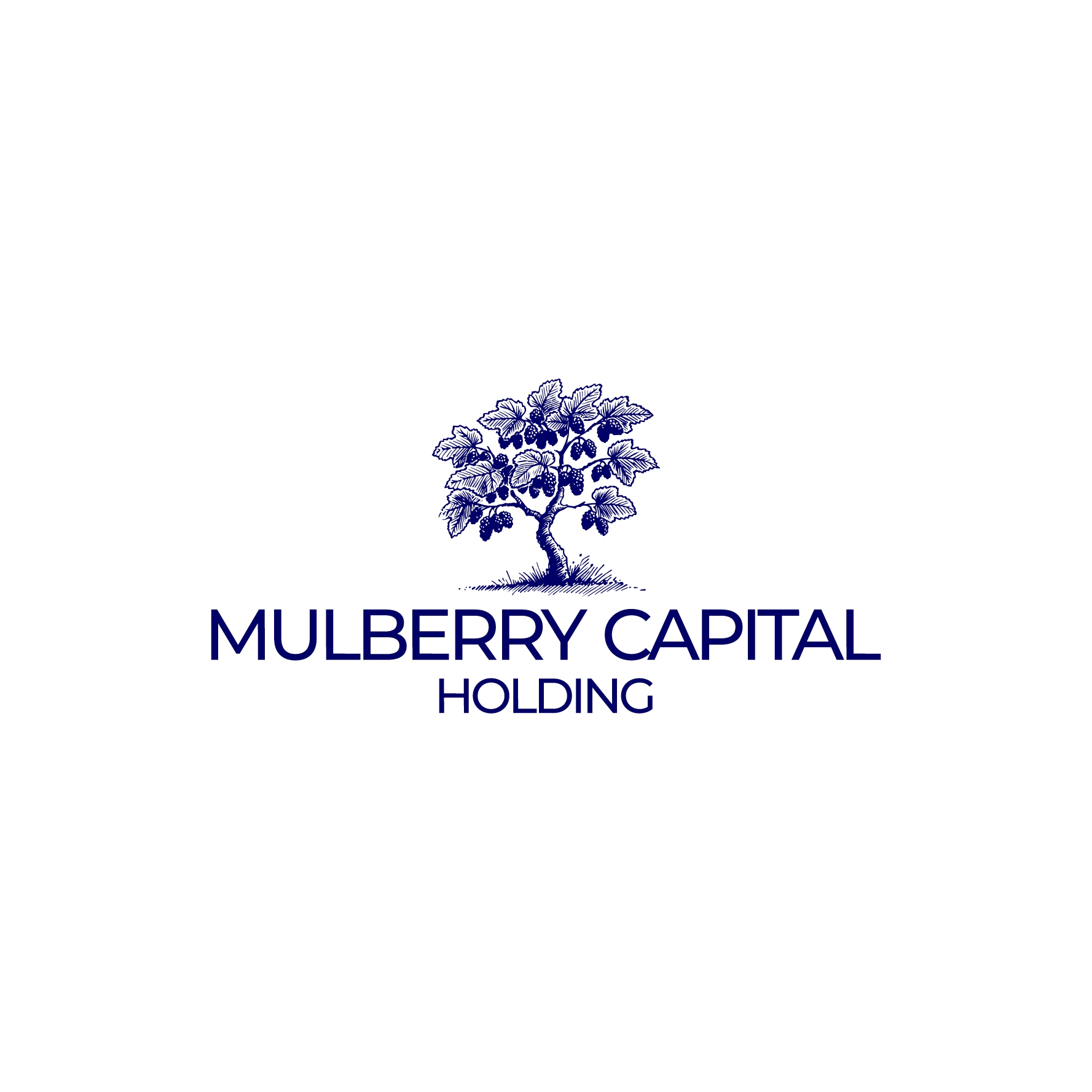Logo Design by Muhammadsaria for Mulberry Capital  | Design #34324889
