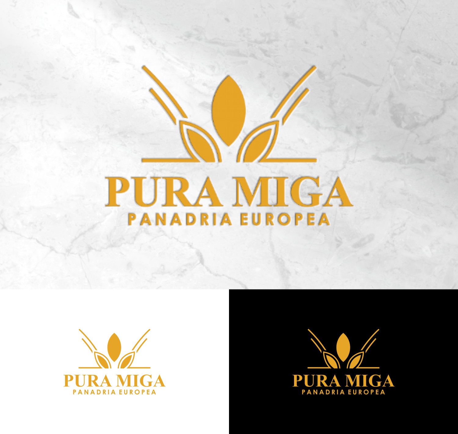 Logo Design by healer1617 for this project | Design #34325113