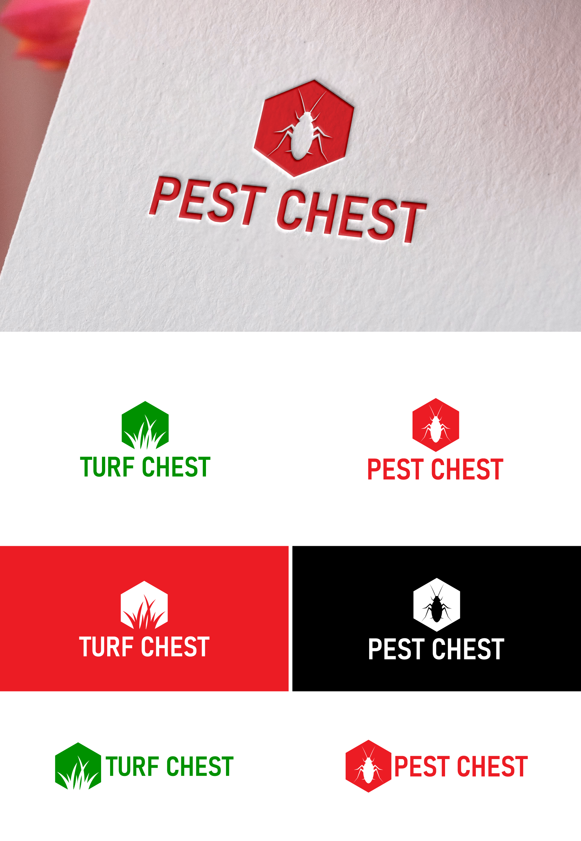 Logo Design by Ellene for this project | Design #34363113