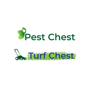 Logo Design by jobayor73