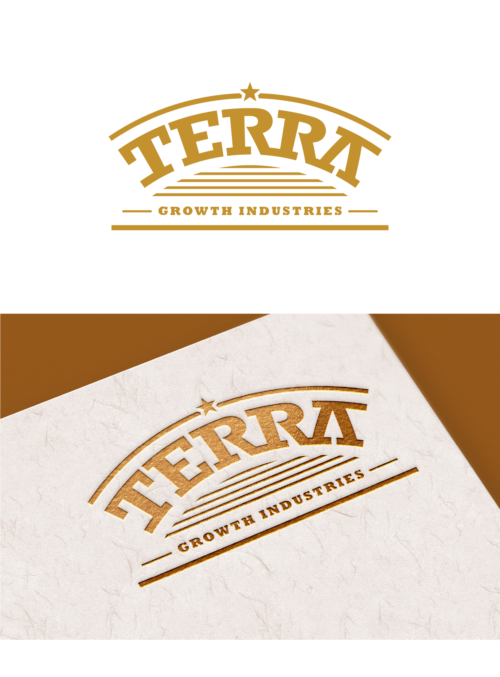 Logo Design by Fezy Design Studio for this project | Design #34331485