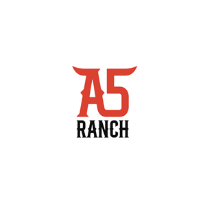Logo Design by Aljune Castro Designs