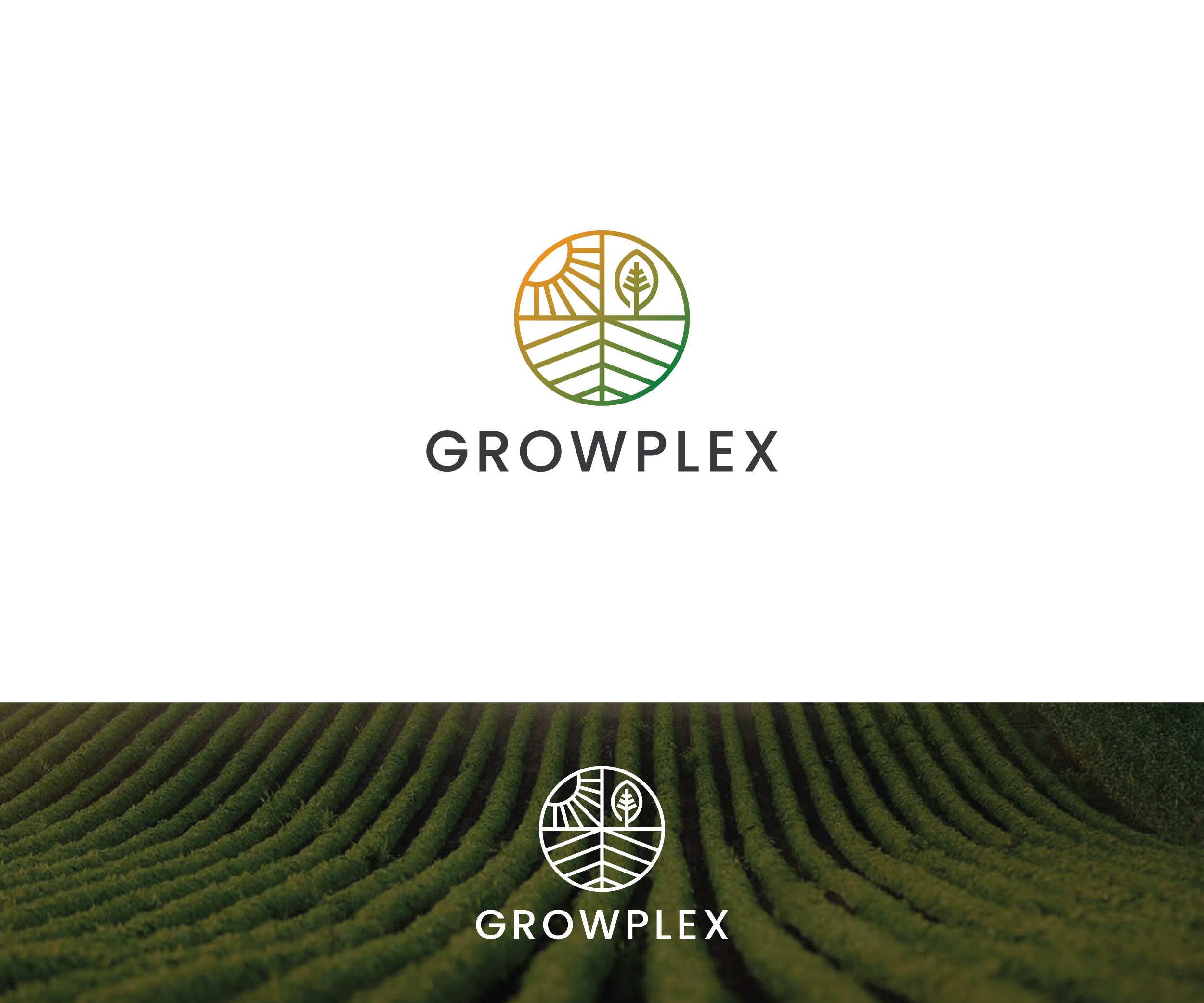 Logo Design by FT Marks Co. for this project | Design #34375986