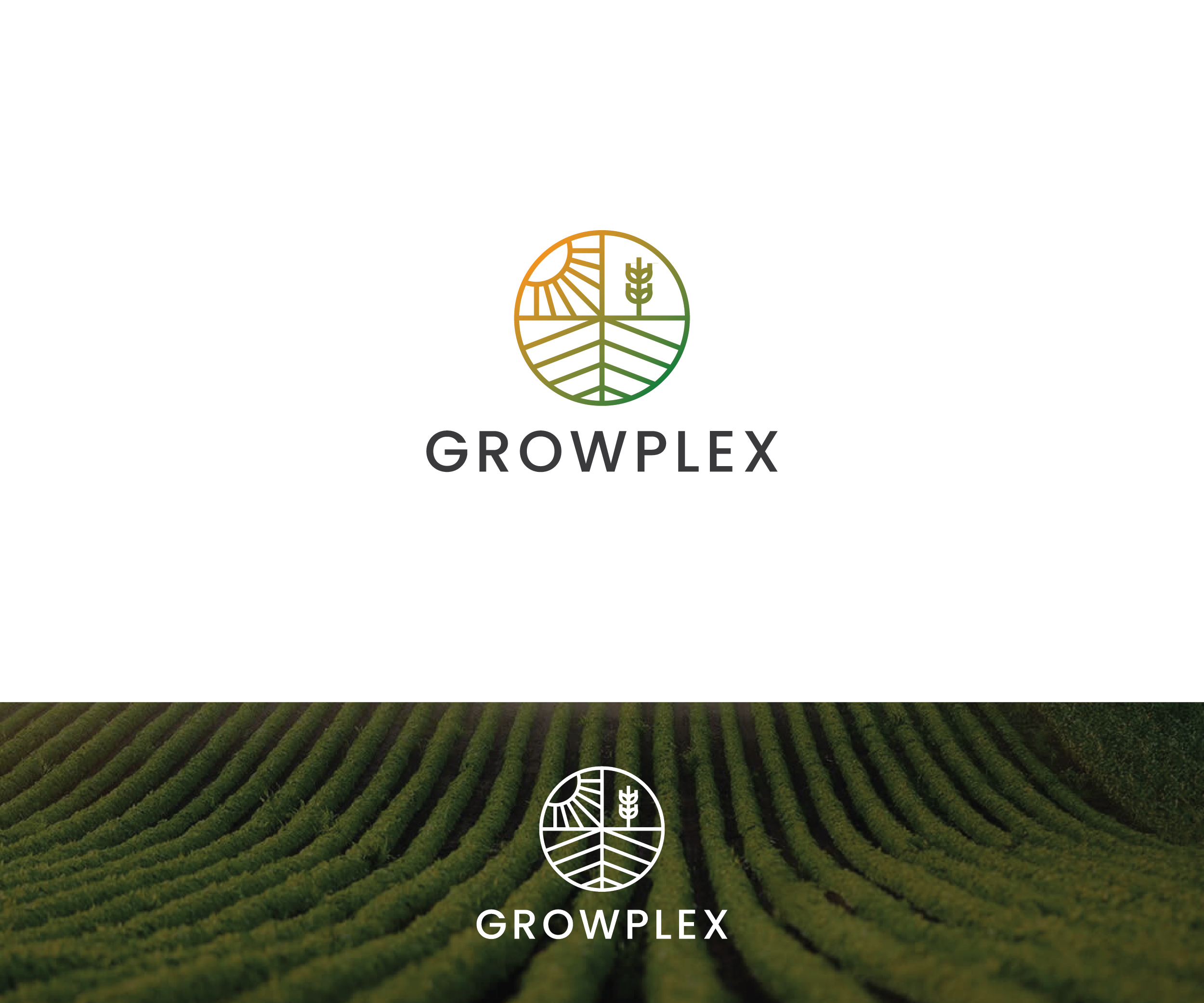 Logo Design by FT Marks Co. for this project | Design #34375987