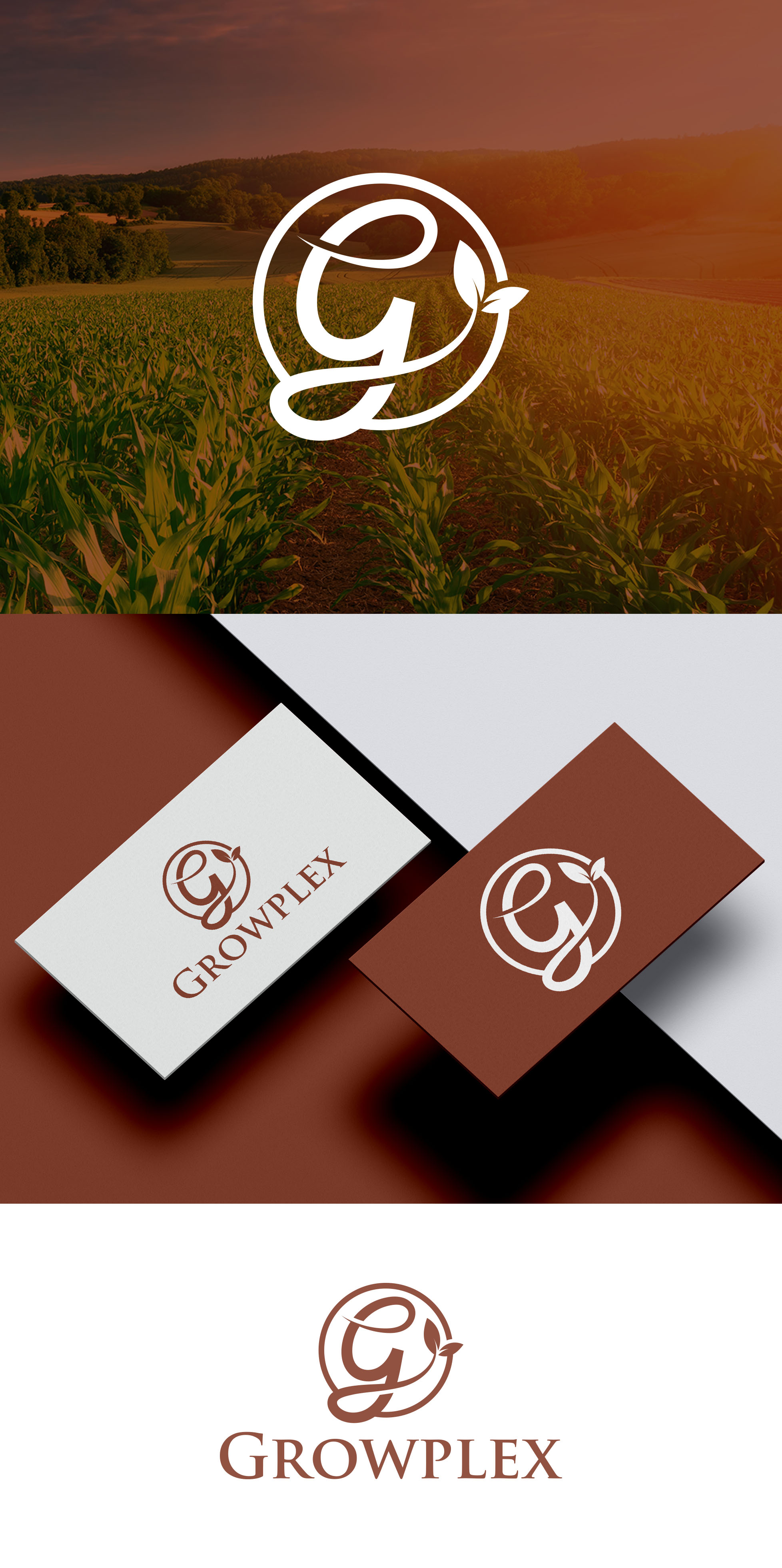 Logo Design by aexoagency for this project | Design #34330310