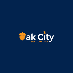 Logo-Design von Krold IT Solutions für dieses Projekt | Design: #34336084