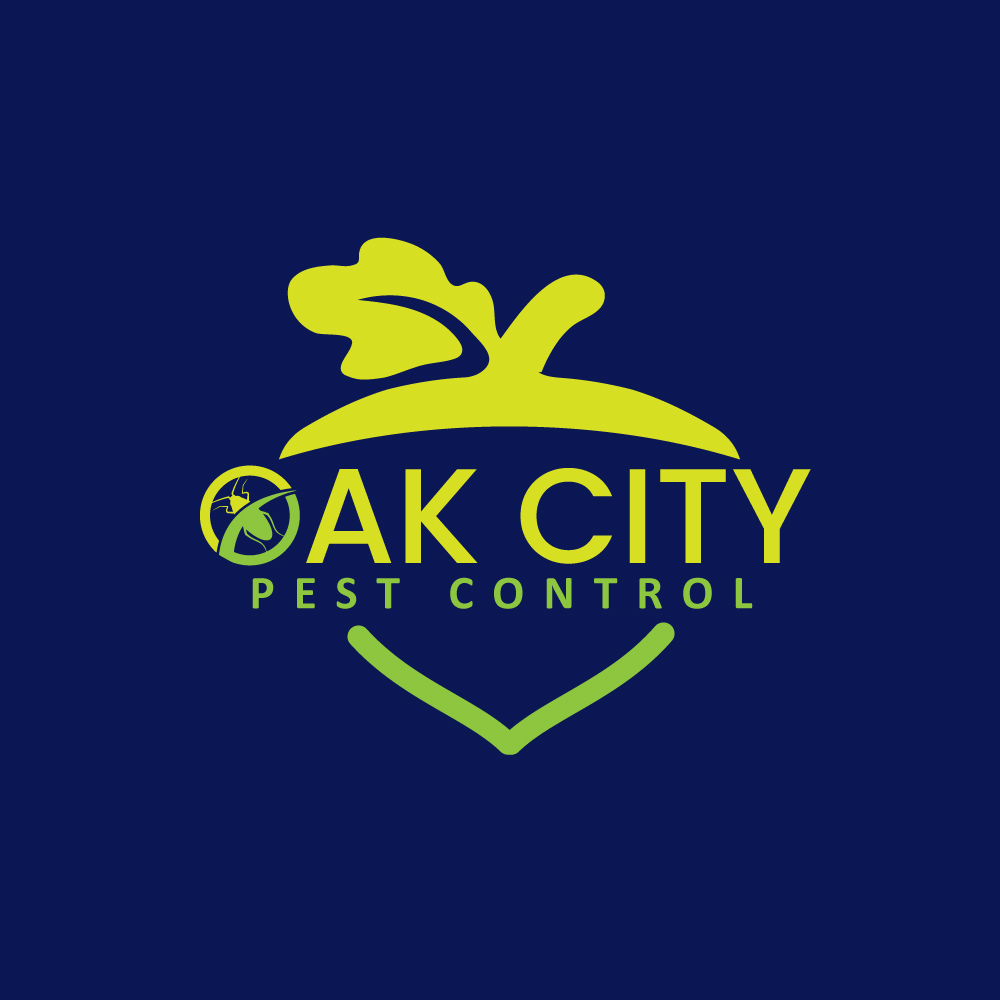 Design de Logo par Anekaa pour ce projet | Design #34333184