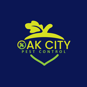 Logo-Design von Anekaa für dieses Projekt | Design: #34333184