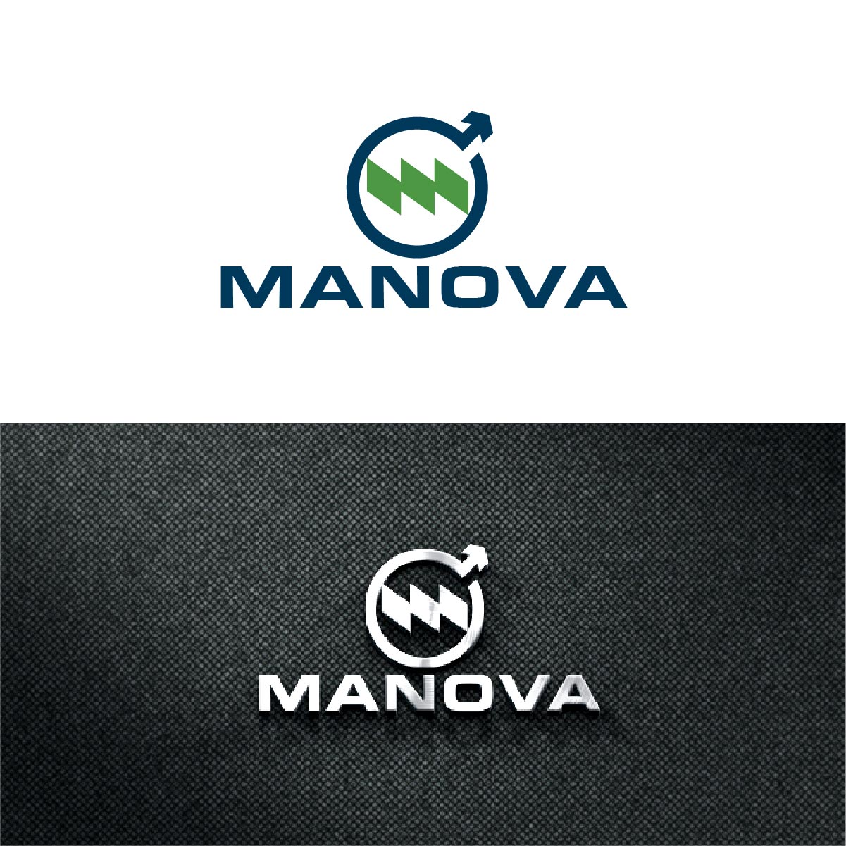 Logo Design by fly  design for this project | Design #34335518