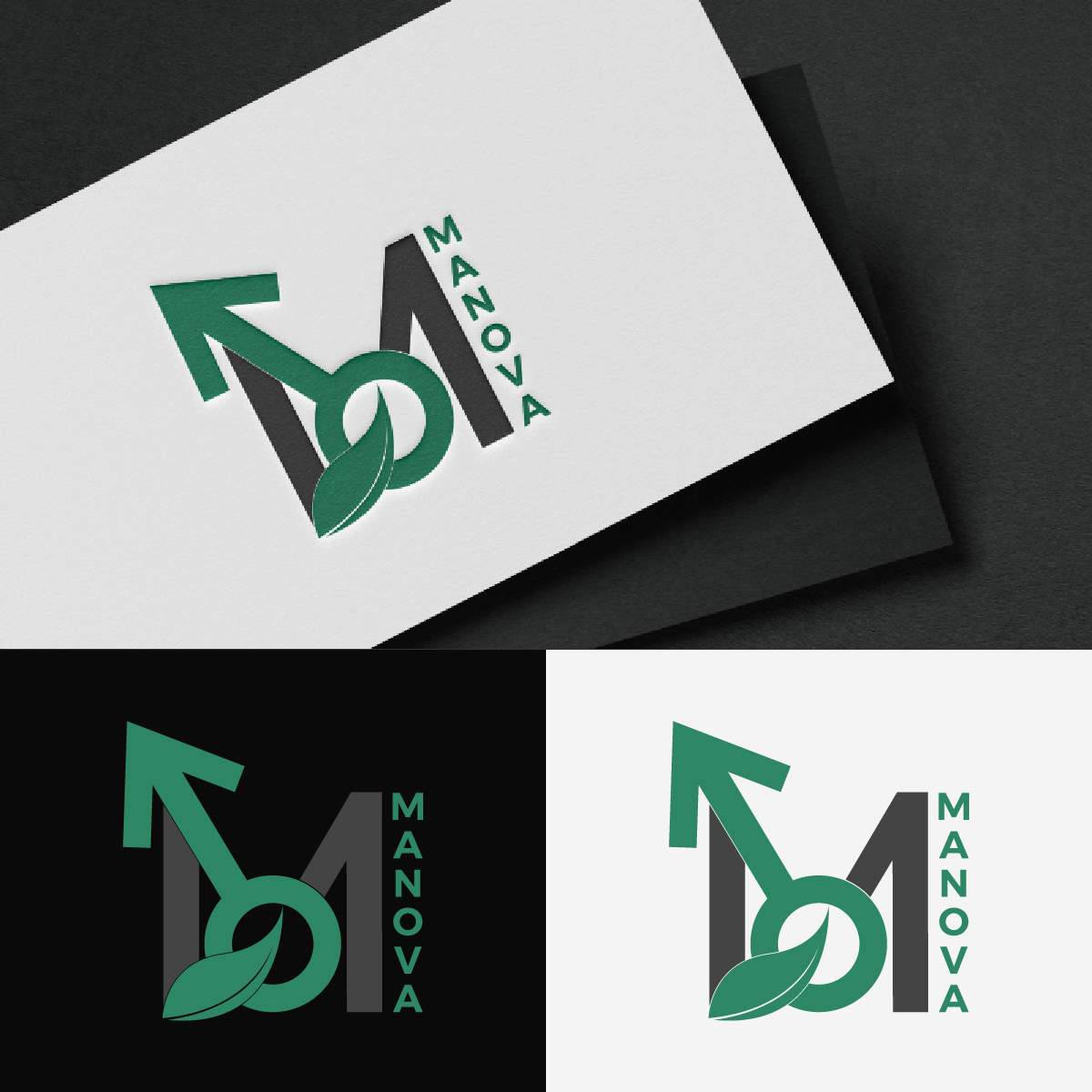 Logo Design by fly  design for this project | Design #34335519