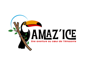 Logo-Design von Dream Logo Design für dieses Projekt | Design: #34343154